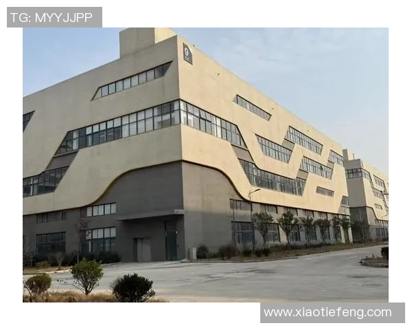 足球南华崛起之路探索球队发展与未来愿景的全景分析