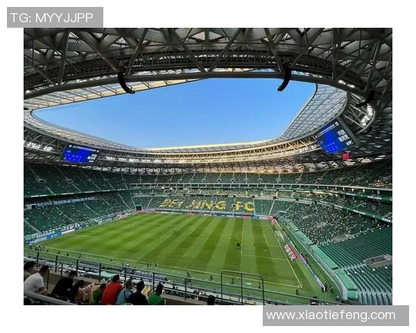 足球人金蝉的传奇人生与不屈精神在绿茵场上的辉煌历程 足球人金蝉的传奇人生与不屈精神在绿茵场上的辉煌历程