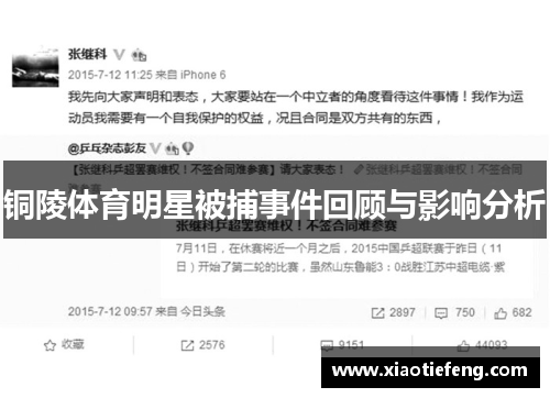 铜陵体育明星被捕事件回顾与影响分析