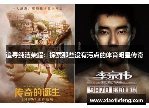 追寻纯洁荣耀：探索那些没有污点的体育明星传奇