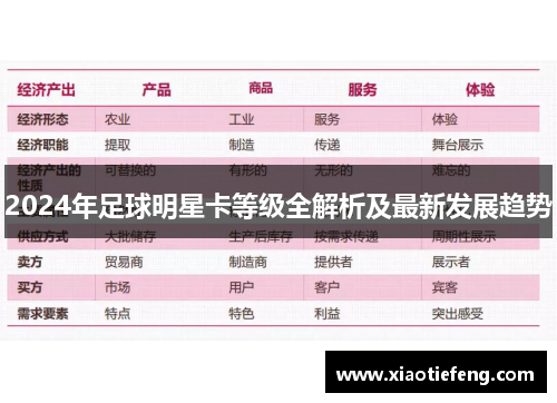 2024年足球明星卡等级全解析及最新发展趋势
