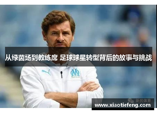 从绿茵场到教练席 足球球星转型背后的故事与挑战