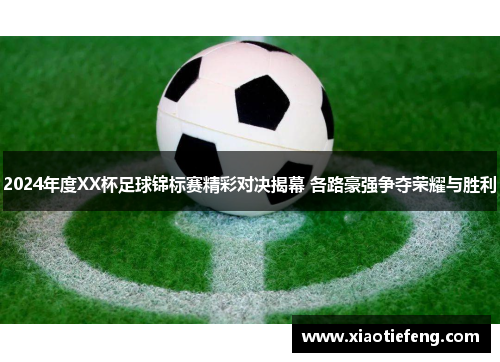 2024年度XX杯足球锦标赛精彩对决揭幕 各路豪强争夺荣耀与胜利