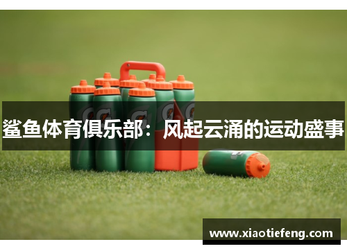鲨鱼体育俱乐部：风起云涌的运动盛事